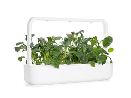 Click and Grow Italian Kale Plant Pods