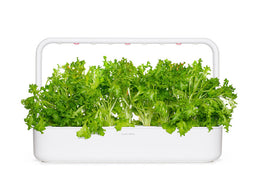Click and Grow Oakleaf Lettuce Plant Pods