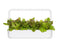 Click and Grow Red Lettuce Plant Pods