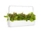 Click and Grow Red Lettuce Plant Pods