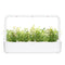 Click and Grow Hyssop Refill