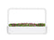 Click and Grow Sweet Alyssum Plant Pods