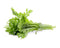 Click and Grow Shungiku Plant Pods