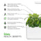 Click and Grow Stevia Plant Pods