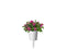 Click and Grow Sweet Alyssum Plant Pods