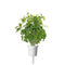 Click and Grow Thai Basil Plant Pods