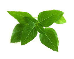 Click and Grow Thai Basil Plant Pods