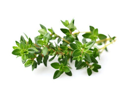 Click and Grow Thyme Plant Pods