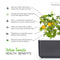 Click and Grow Yellow Mini Tomato Plant Pods