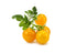 Click and Grow Yellow Mini Tomato Plant Pods