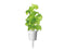 Click and Grow Basil Plant Pods