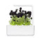 Click and Grow Black Pansy Plant Pods