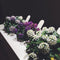 Click and Grow Sweet Alyssum Refill