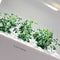 Click and Grow Hyssop Refill