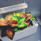 Click and Grow Painted Nettle Refill