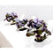 Click and Grow Red Basil Refill