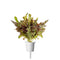 Click and Grow Red Oakleaf Lettuce Plant Pods
