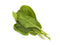 Click and Grow Green Chard Plant Pods