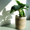 Home delight Basket Seagrass set/3