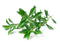 Click and Grow Mountain Savory Plant Pods