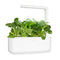 Click and Grow Pak Choi 9-pack