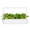 Click and Grow Pak Choi 9-pack
