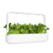 Click and Grow Pak Choi 9-pack