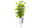 Click and Grow Peppermint Plant Pods
