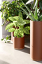 Vij5 Plant Collector
