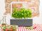 Click and Grow The Smart Garden 3