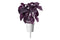 Click and Grow Red Basil Plant Pods
