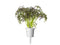 Click and Grow Red Frill Mustard Plant Pods