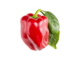 Click and Grow Red Sweet Pepper Plant Pods