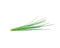 Click and Grow Chives Plant Pods
