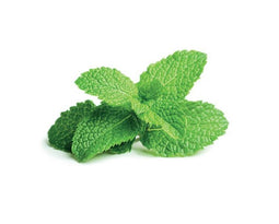 Click and Grow Peppermint Refill