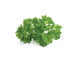 Click and Grow Curly Parsley Refill