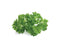 Click and Grow Curly Parsley Refill