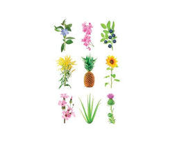 Click and Grow Experimental Refill