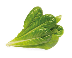 Click and Grow Romaine Lettuce Plant Pods