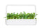 Click and Grow Arugula Plant Pods