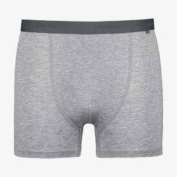 Saint Basics St. Luke Eucalyptus boxer brief