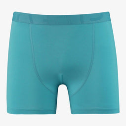 Saint Basics St. Luke Eucalyptus boxer brief