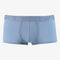 Saint Basics St. Patrick Eucalyptus trunk