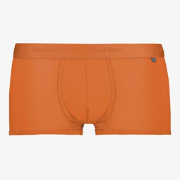 Saint Basics St. Patrick Eucalyptus trunk