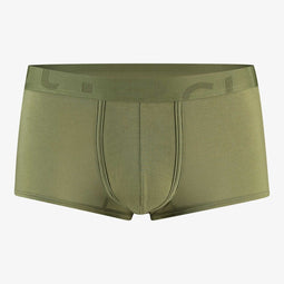 Saint Basics St. Patrick Eucalyptus trunk