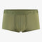Saint Basics St. Patrick Eucalyptus trunk