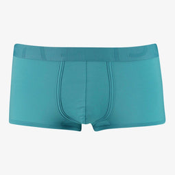 Saint Basics St. Patrick Eucalyptus trunk