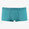 Saint Basics St. Patrick Eucalyptus trunk