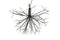 Kerstverlichting 120 led - zwart L33B33H33CM