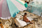 Sunnylife 2023 Beach Umbrella Utopia Multi